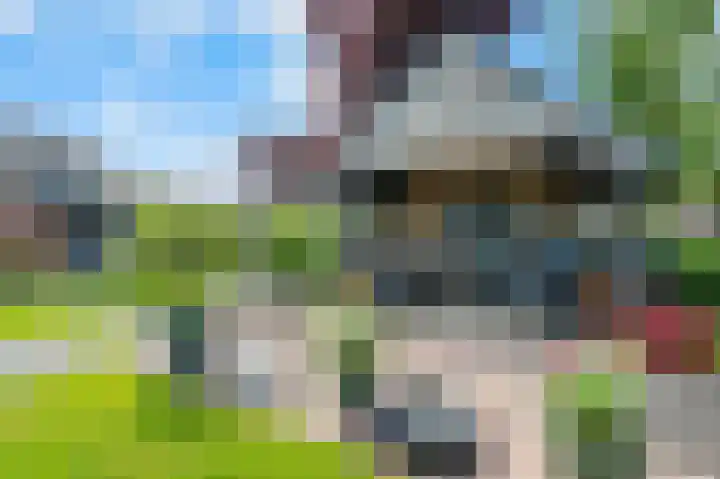 De Huizen 52 Zwartemeer thumbnail 43