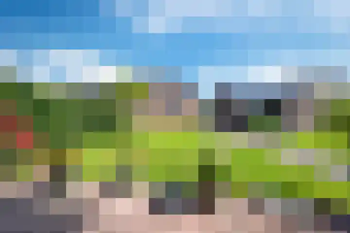 De Huizen 52 Zwartemeer thumbnail 45
