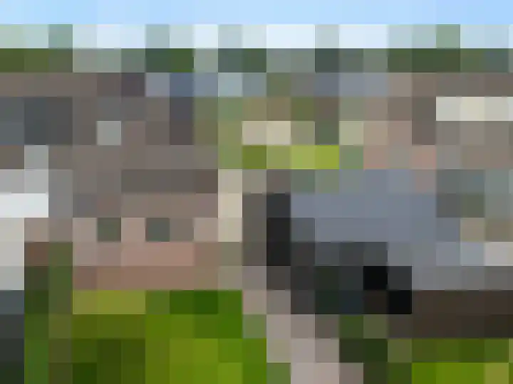 De Huizen 52 Zwartemeer thumbnail 46