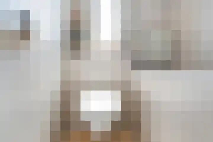 De Huizen 52 Zwartemeer thumbnail 5