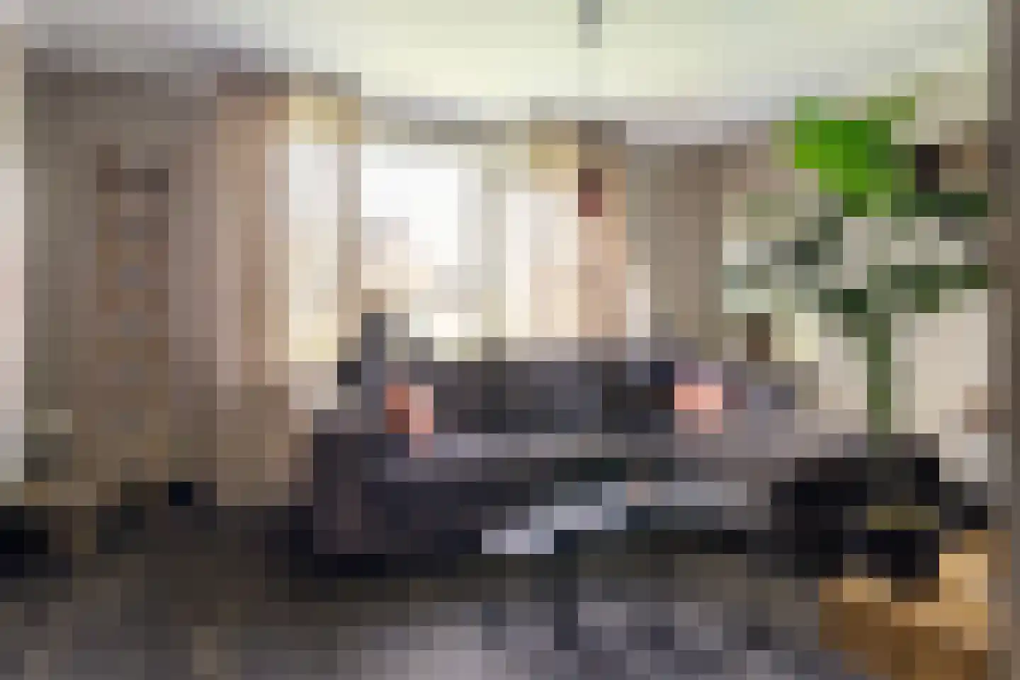 De Huizen 81 Zwartemeer thumbnail 11