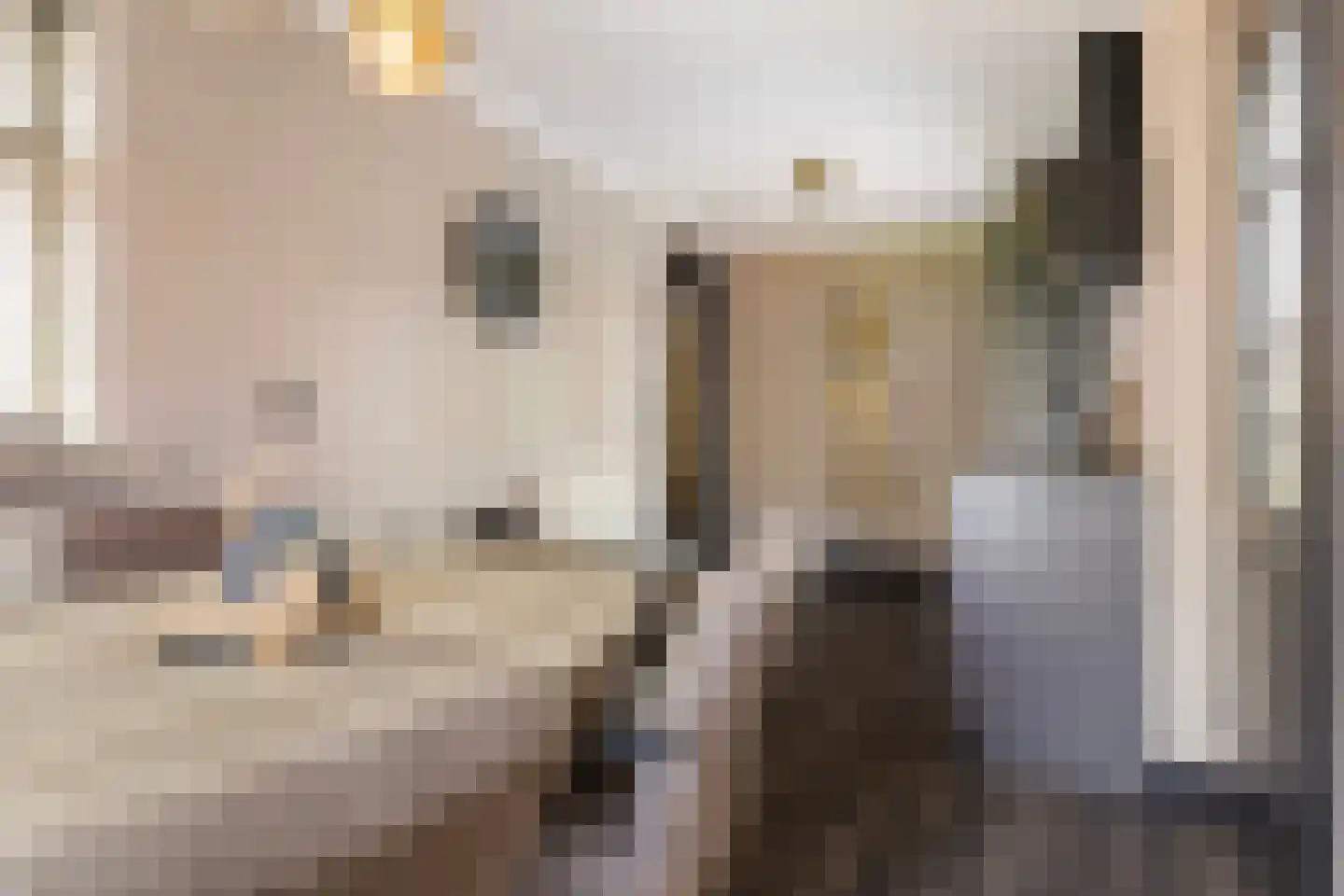 De Huizen 81 Zwartemeer thumbnail 16