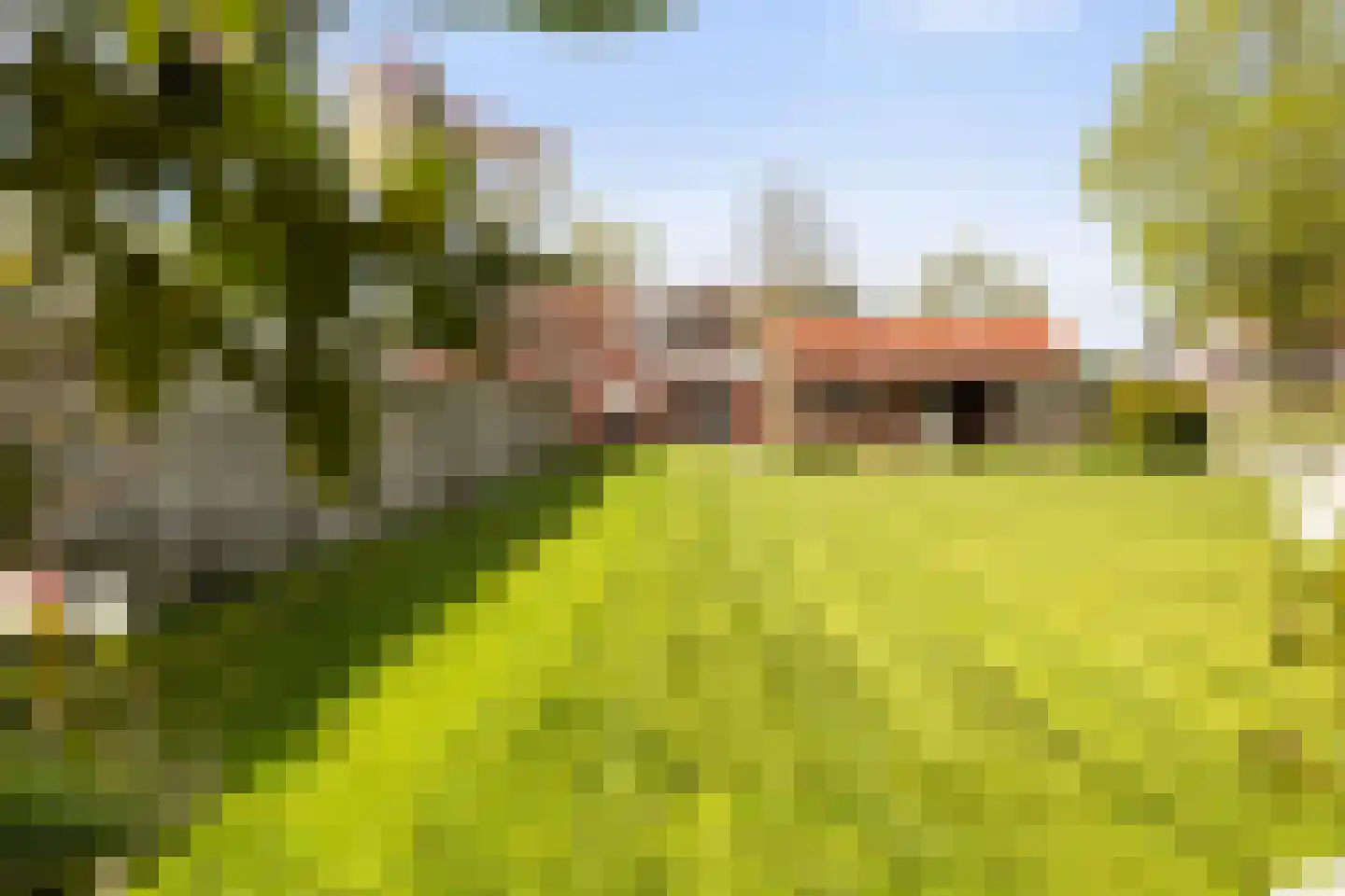 De Huizen 81 Zwartemeer thumbnail 22
