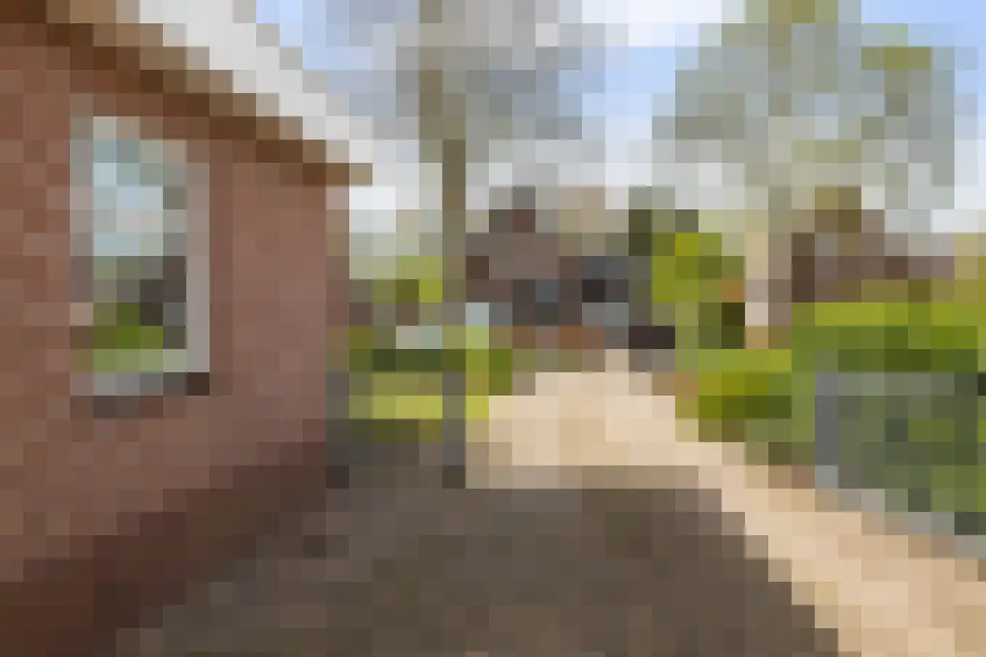 De Huizen 81 Zwartemeer thumbnail 25
