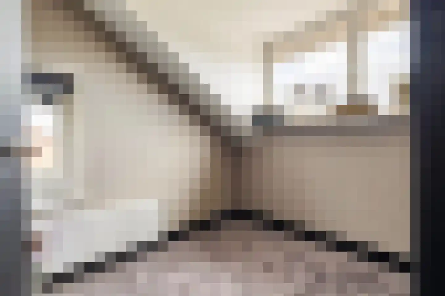 De Huizen 81 Zwartemeer thumbnail 31