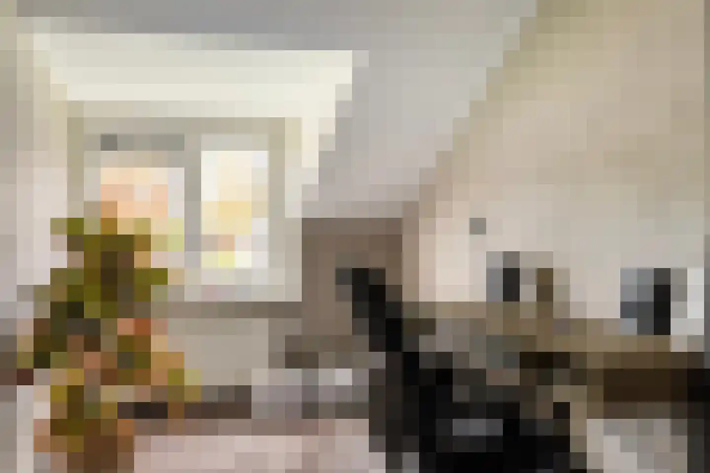 De Huizen 81 Zwartemeer thumbnail 33