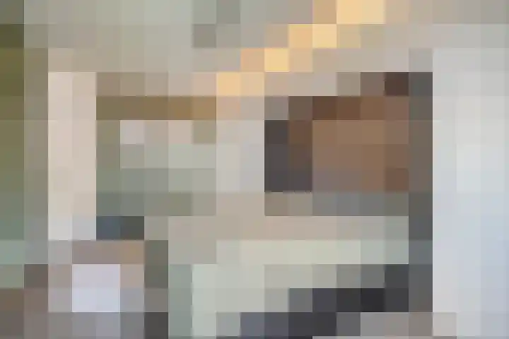 Team foto van De Huizenbemiddelaar Brabants Hart