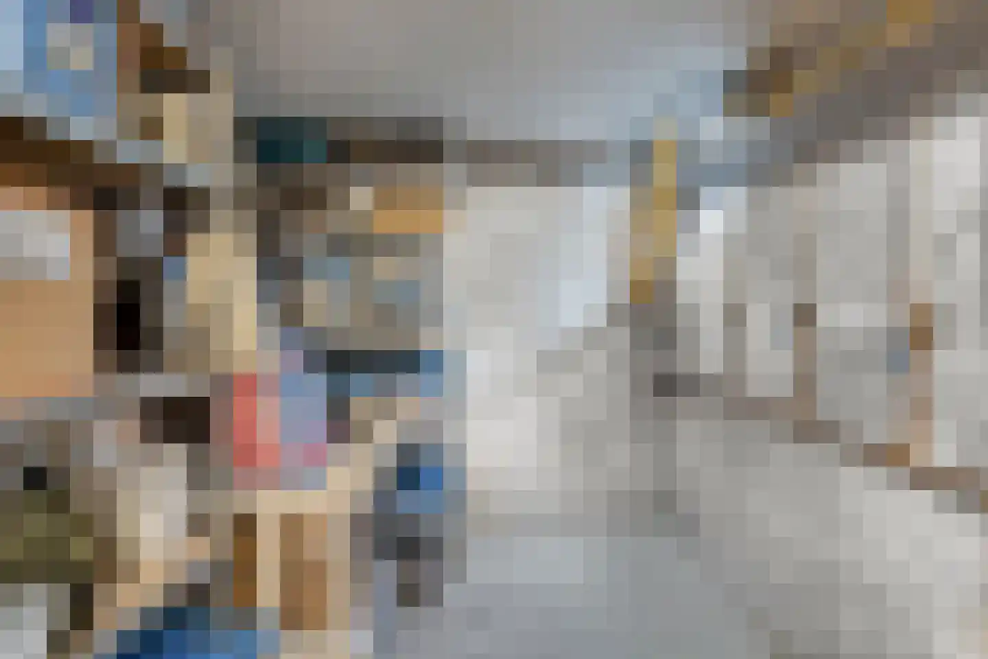 De Hul 2 Alphen thumbnail 27