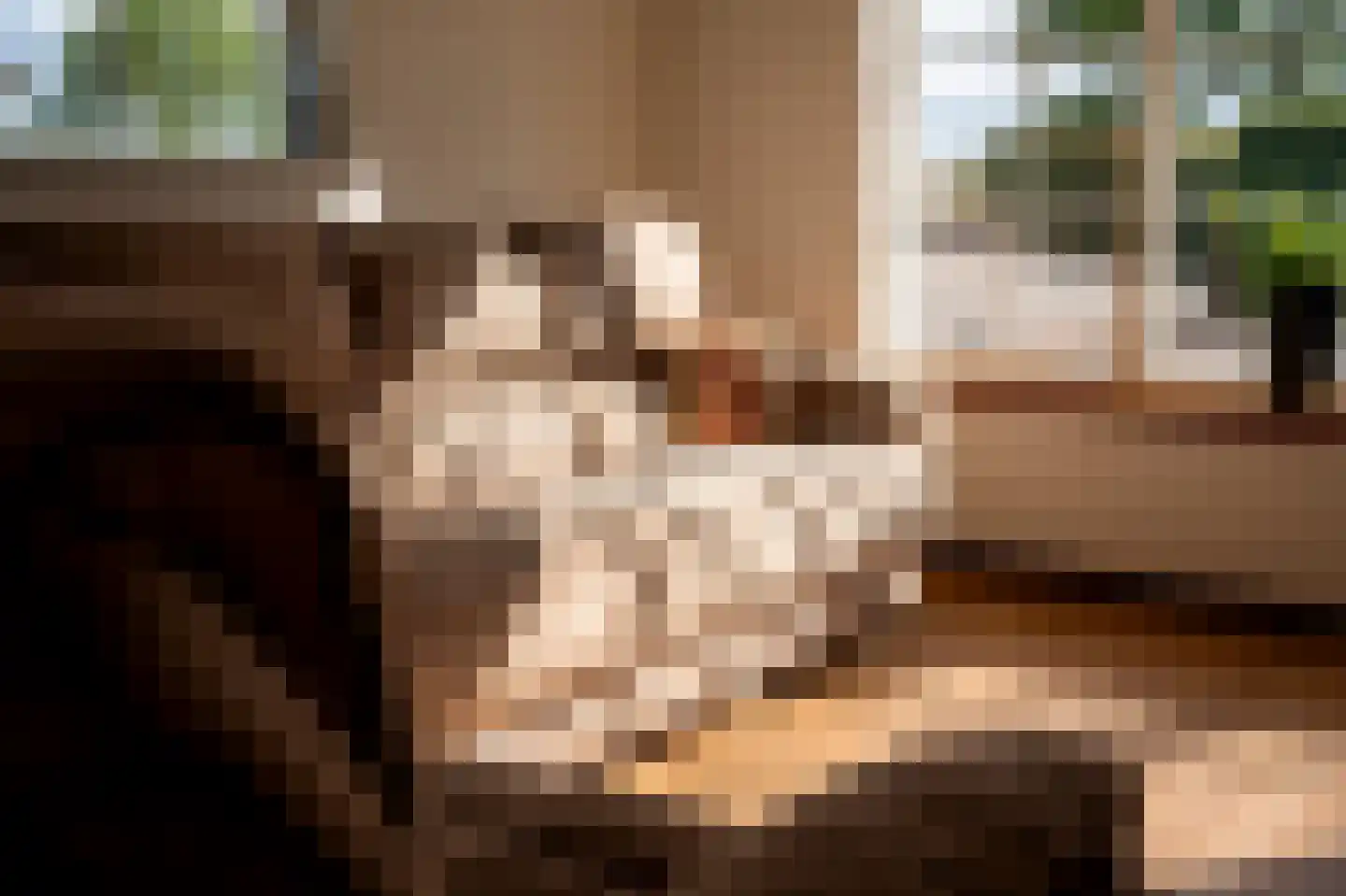 De Hul 2 Alphen thumbnail 5
