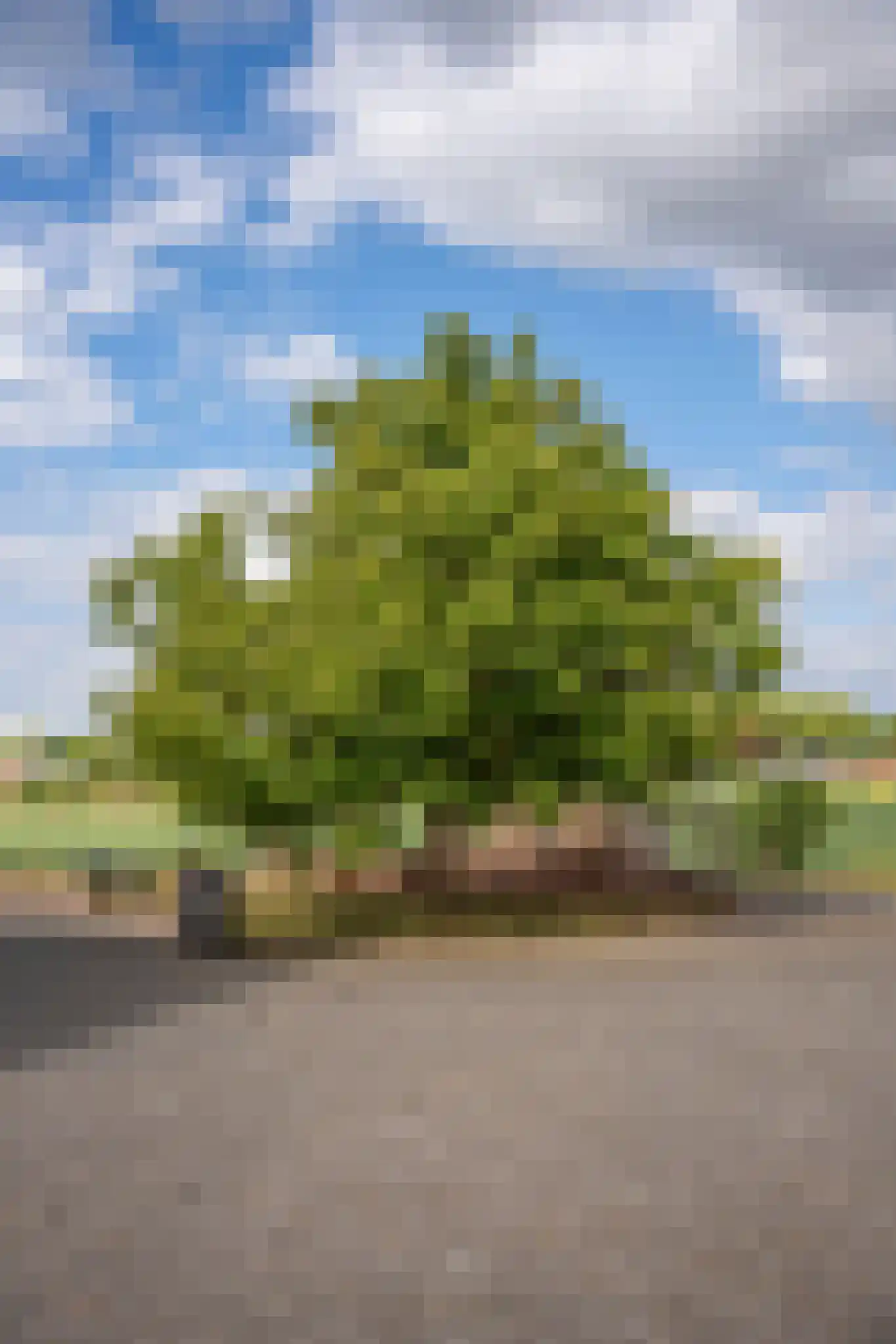 De Hul 2 Alphen thumbnail 55