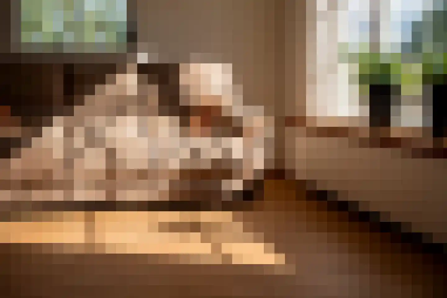 De Hul 2 Alphen thumbnail 7