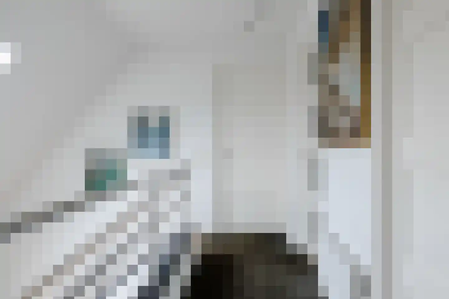 de Hulk 11 Hoorn thumbnail 25