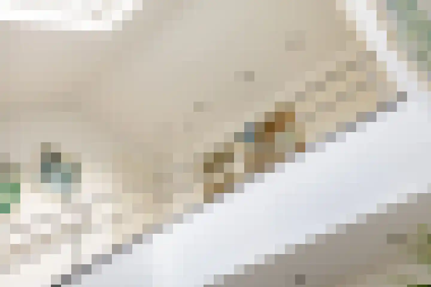 de Hulk 11 Hoorn thumbnail 26