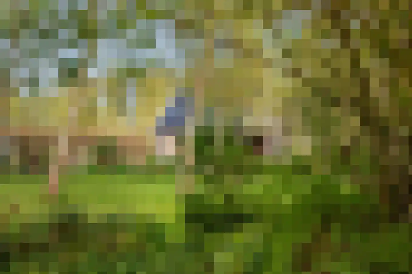 de Hulk 11 Hoorn thumbnail 43