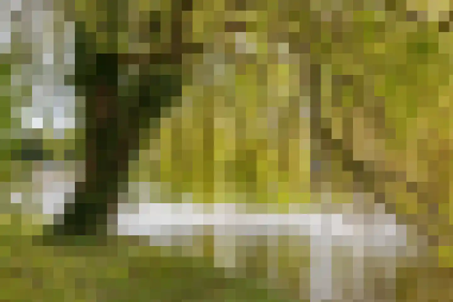 de Hulk 11 Hoorn thumbnail 45