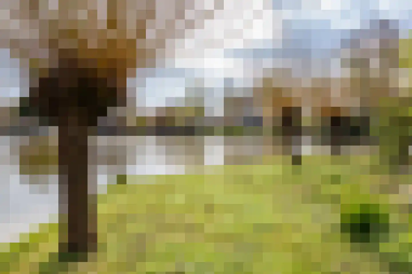 de Hulk 11 Hoorn thumbnail 47