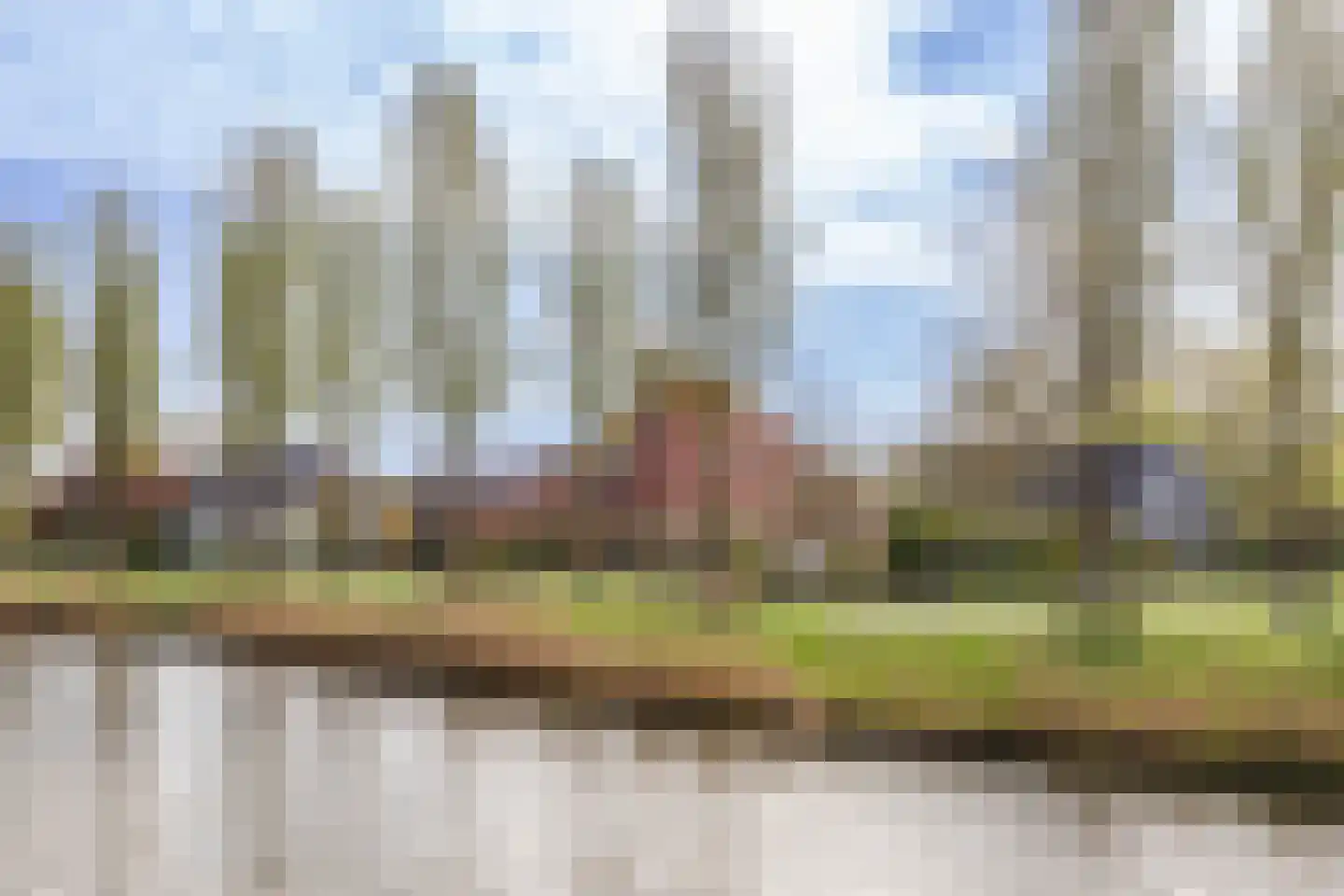 de Hulk 11 Hoorn thumbnail 51