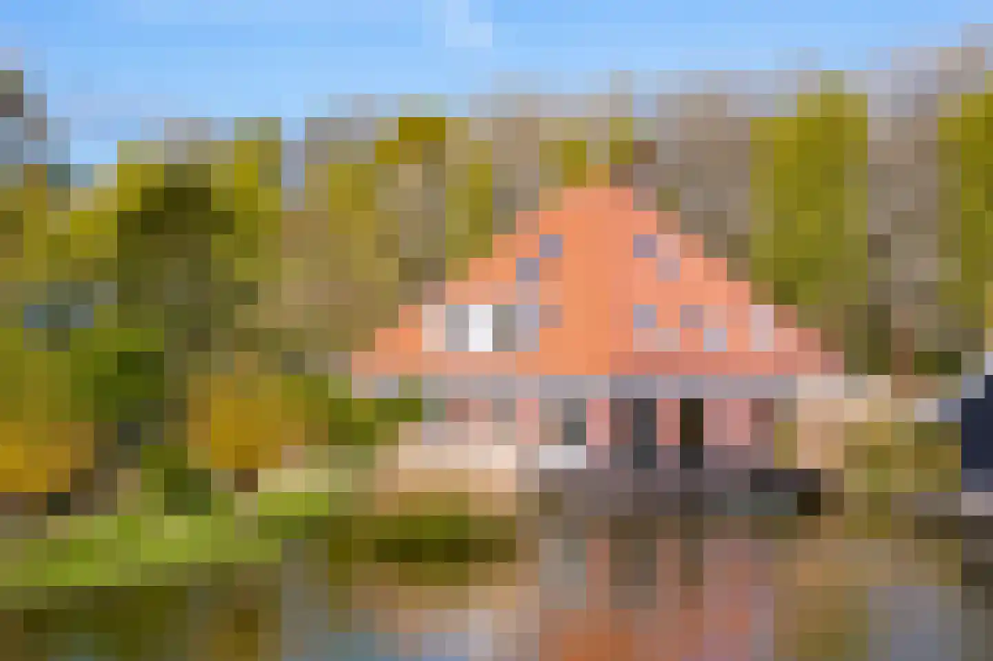 de Hulk 11 Hoorn thumbnail 52