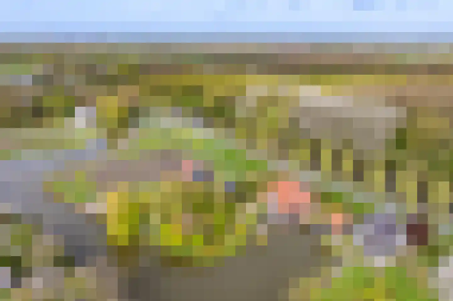 de Hulk 11 Hoorn thumbnail 53