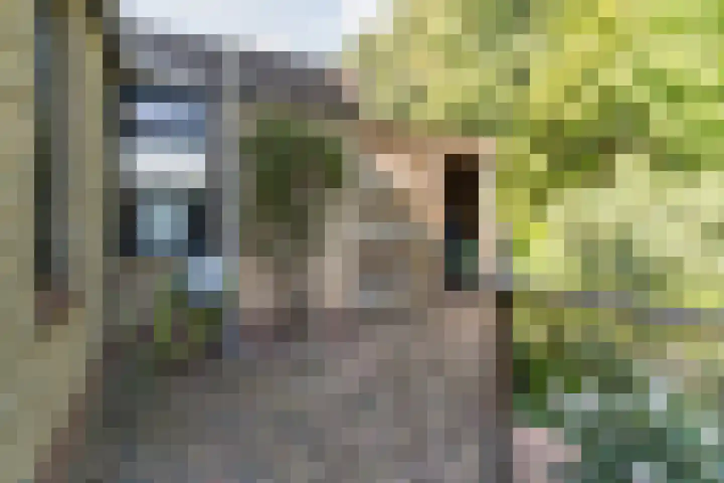de Hulk 16 Tiel thumbnail 40