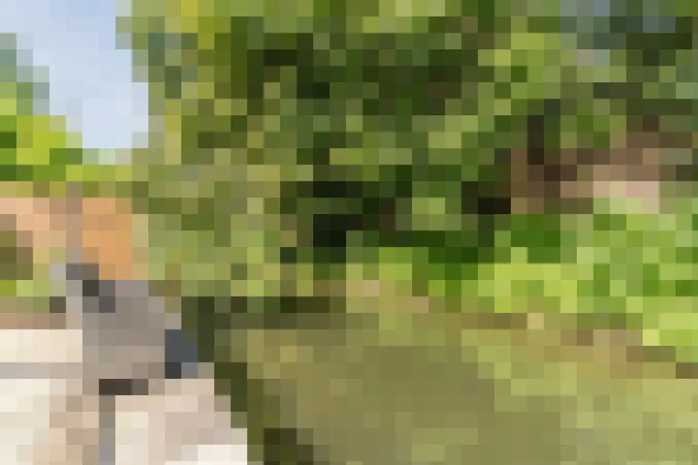 de Hulk 16 Tiel thumbnail 43
