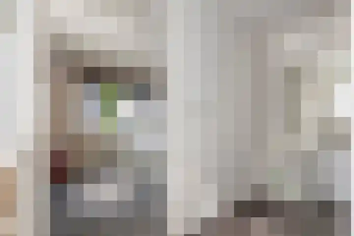de Hulk 34 Tiel thumbnail 11