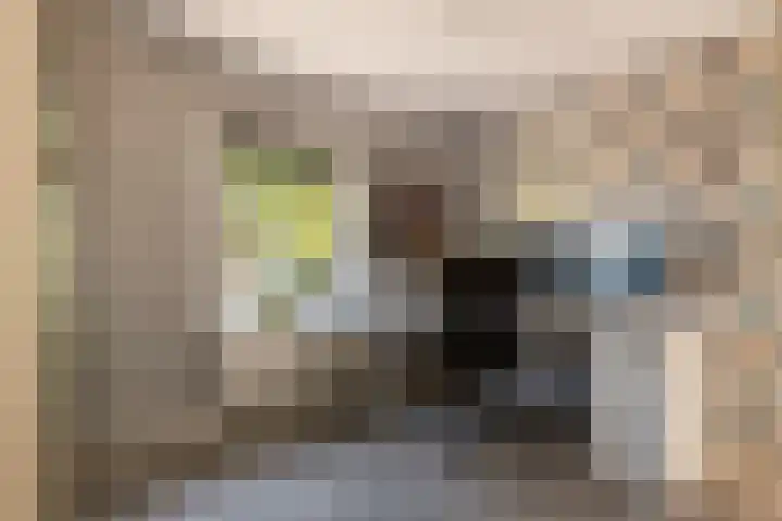 de Hulk 34 Tiel thumbnail 13