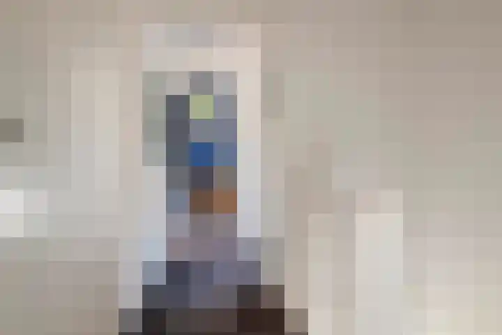 de Hulk 34 Tiel thumbnail 15