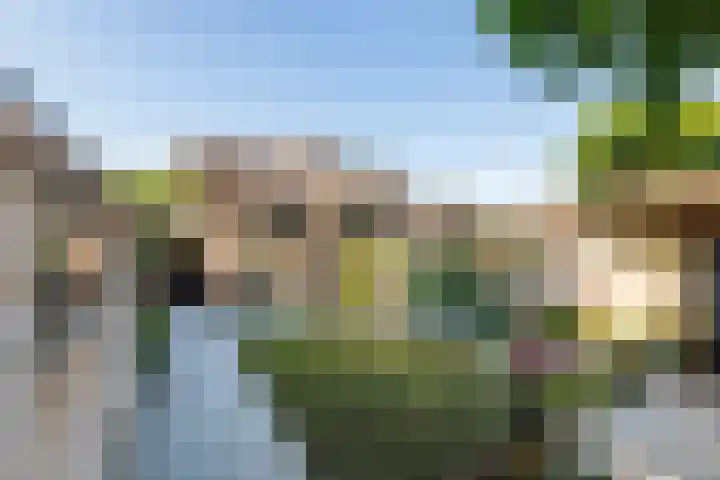 de Hulk 34 Tiel thumbnail 21