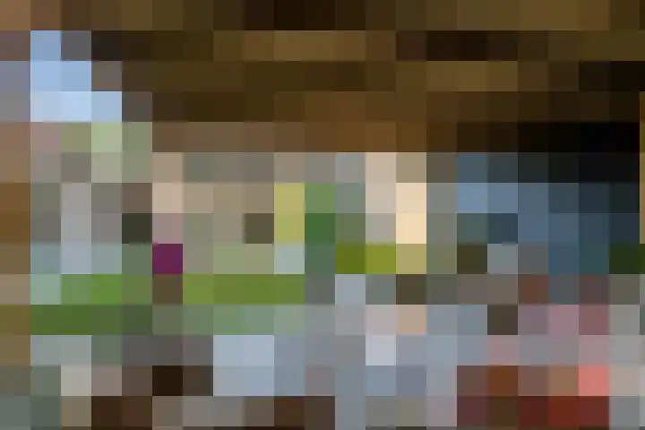 de Hulk 34 Tiel thumbnail 22