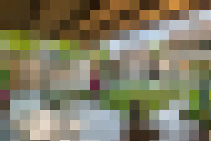 de Hulk 34 Tiel thumbnail 23