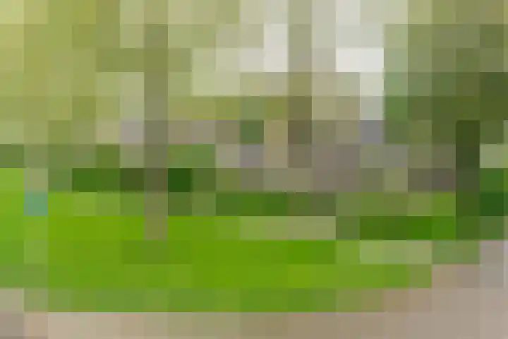 de Hulk 34 Tiel thumbnail 25