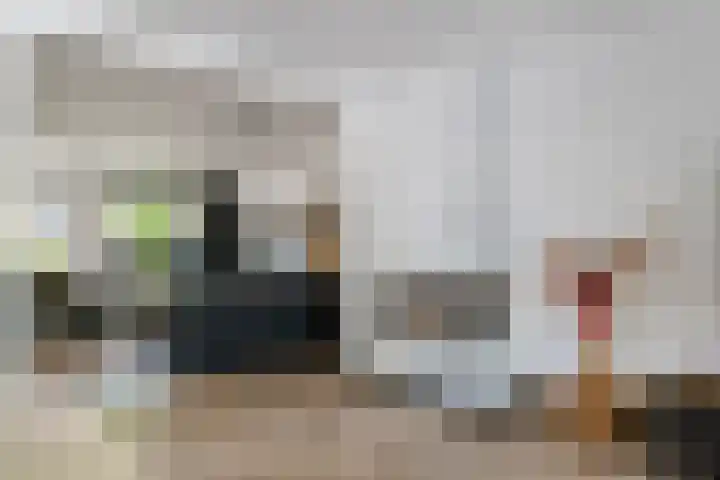 de Hulk 34 Tiel thumbnail 6