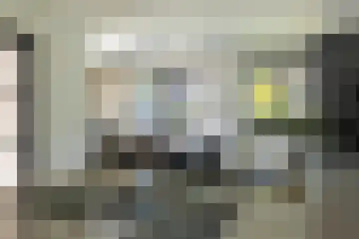 de Hulk 34 Tiel thumbnail 7