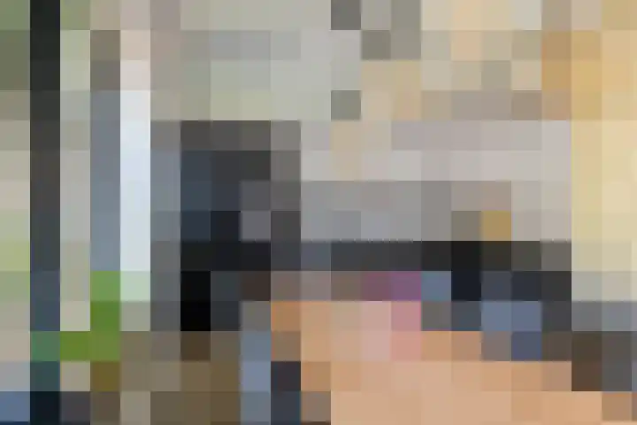 de Hulk 34 Tiel thumbnail 8