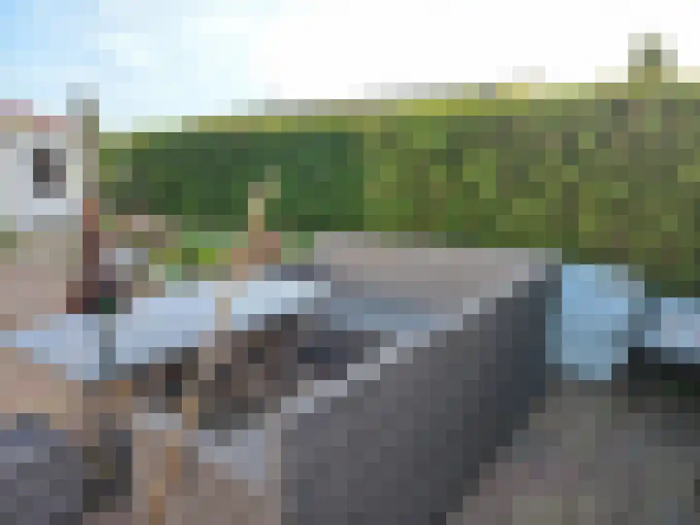 De Hulk 6 A 113 Berkhout thumbnail 12
