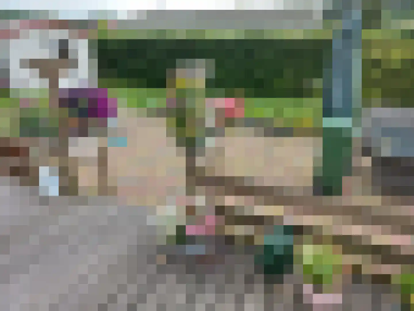 De Hulk 6 A 113 Berkhout thumbnail 13