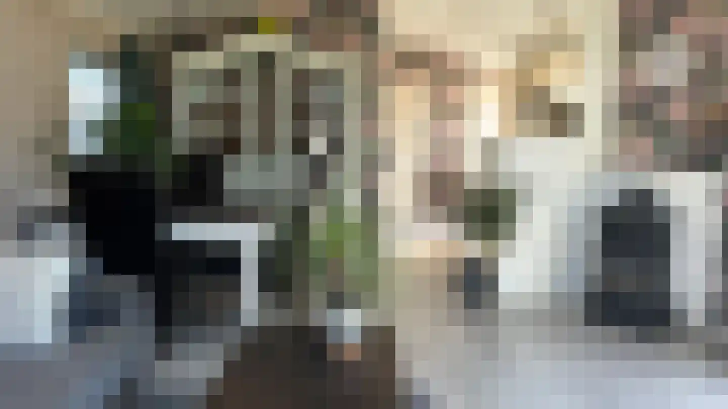 De Hulk 6 A 113 Berkhout thumbnail 18