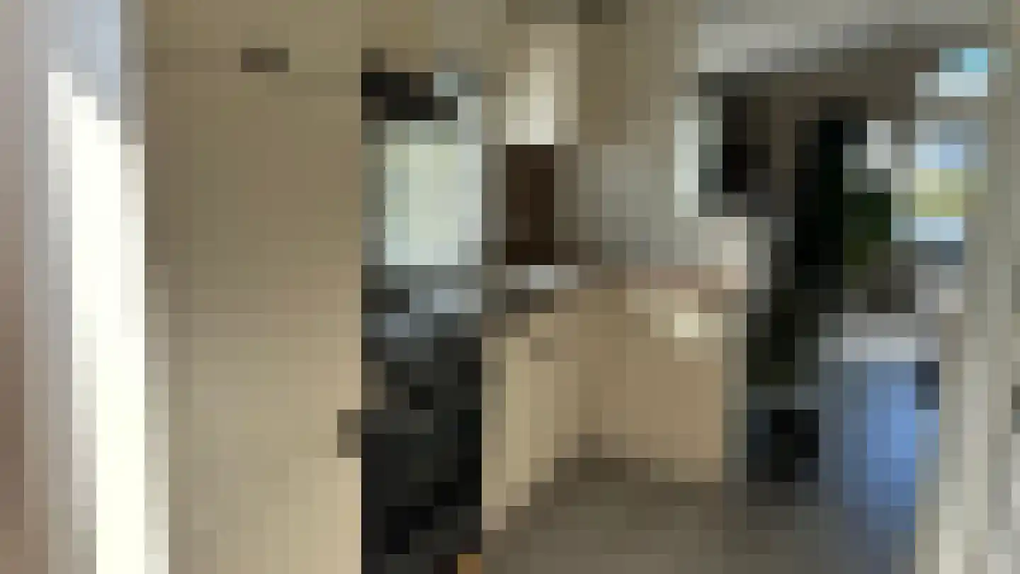 De Hulk 6 A 113 Berkhout thumbnail 20