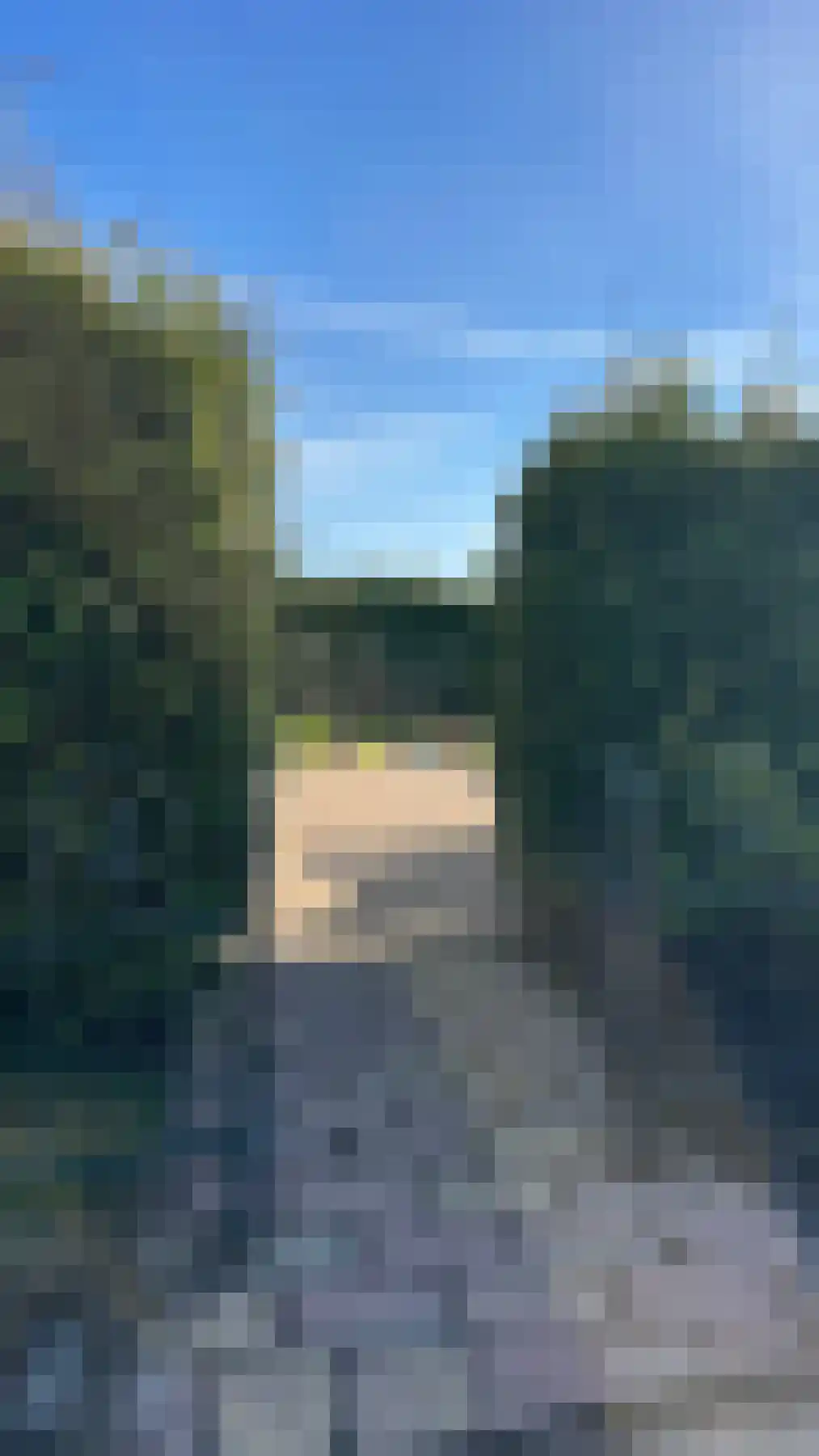 De Hulk 6 A 113 Berkhout thumbnail 5