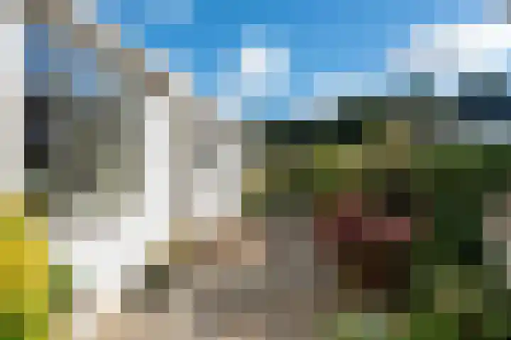 De Hulk 6 A 142 Berkhout thumbnail 39