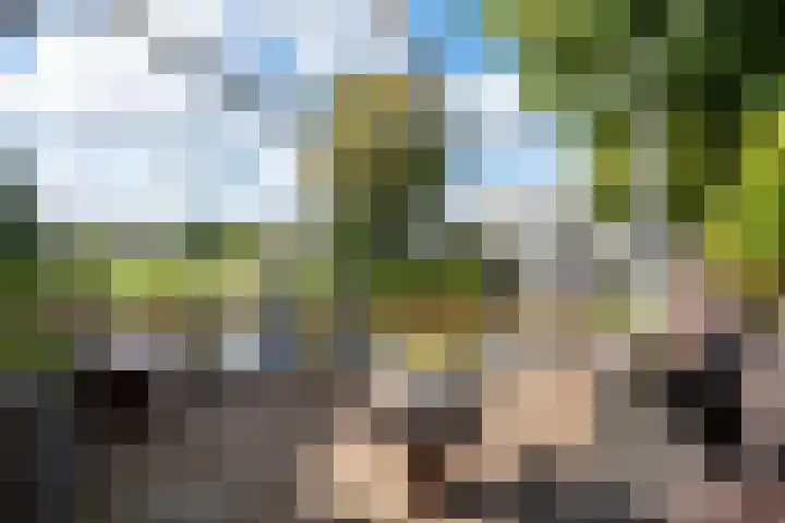 De Hulk 6 A 142 Berkhout thumbnail 42