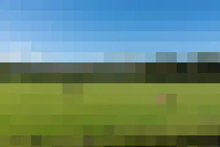 De Hulk 6 A 142 Berkhout thumbnail 49