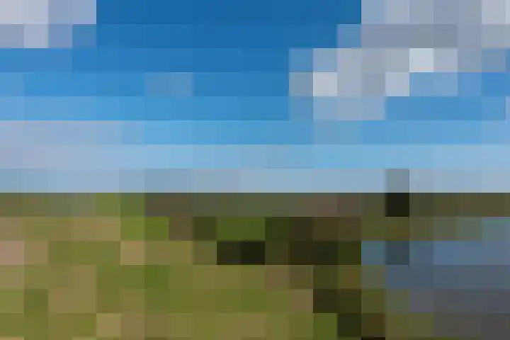 De Hulk 6 A 142 Berkhout thumbnail 56