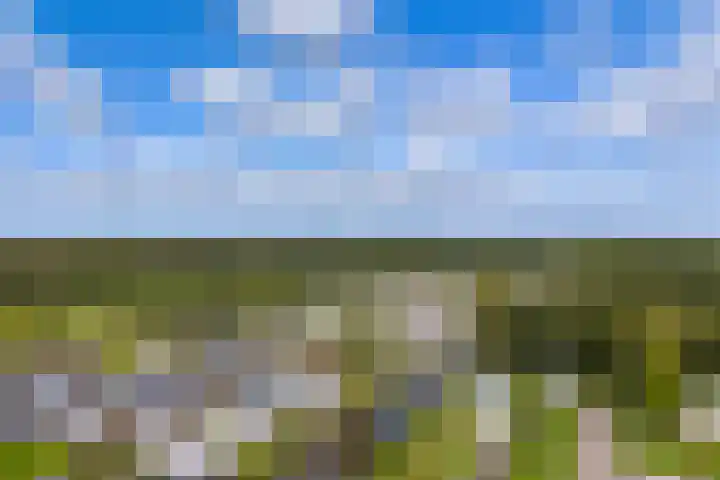 De Hulk 6 A 142 Berkhout thumbnail 58