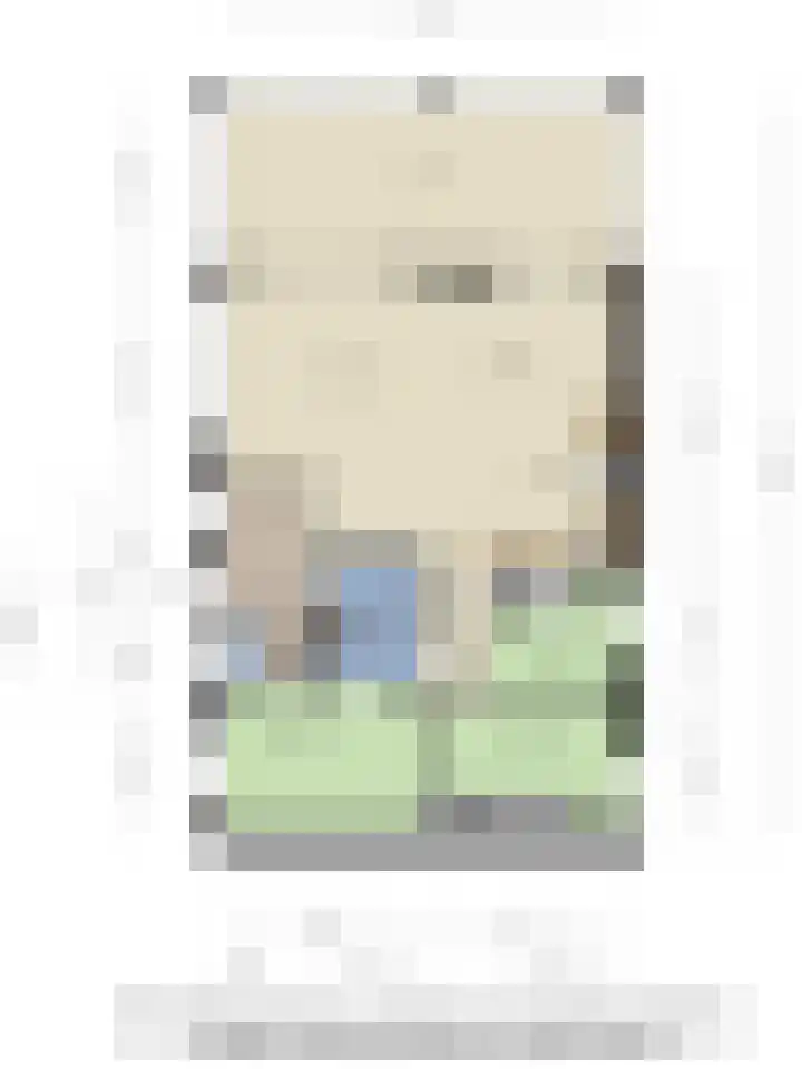 De Hulk 6 A 142 Berkhout thumbnail 64