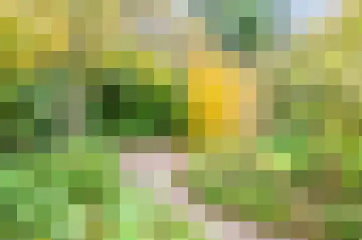 De Hulle 1 Deventer thumbnail 34
