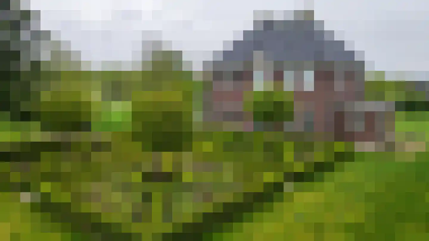De Hullen 14 Drijber