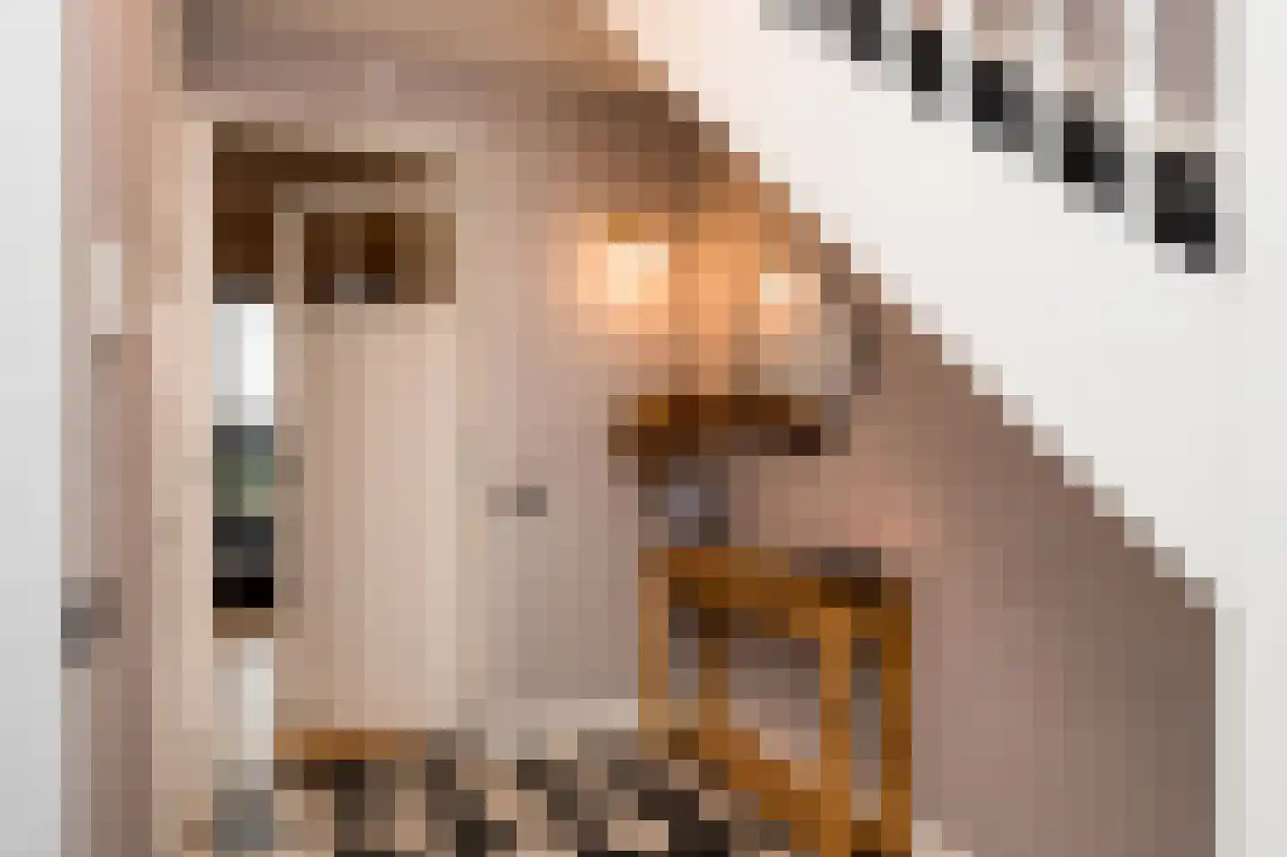 De Hullen 14 Drijber thumbnail 11