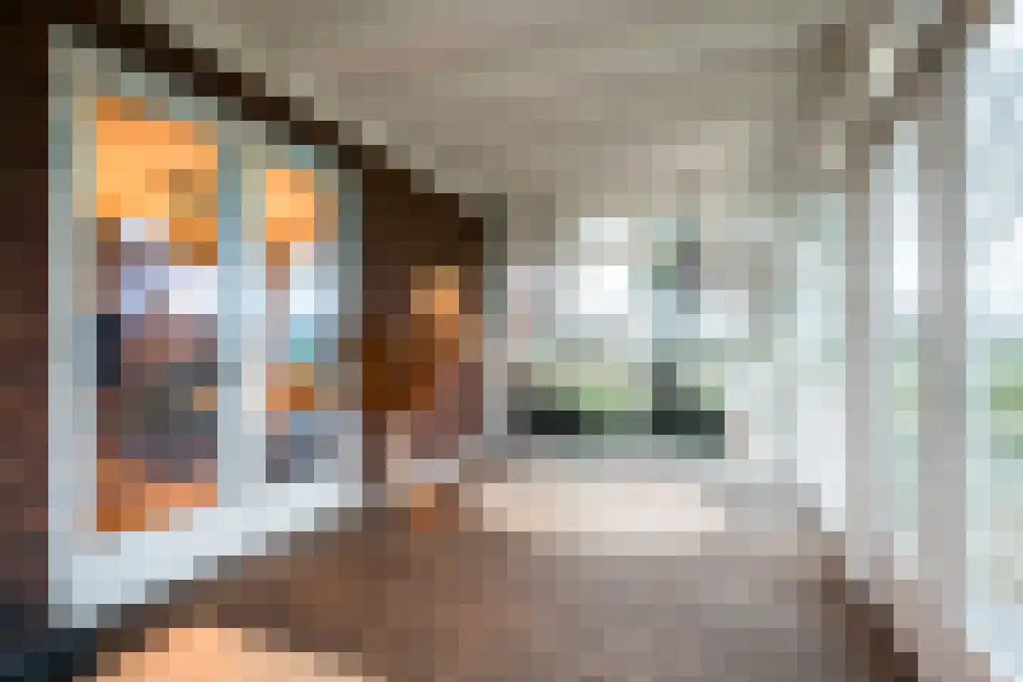 De Hullen 14 Drijber thumbnail 26